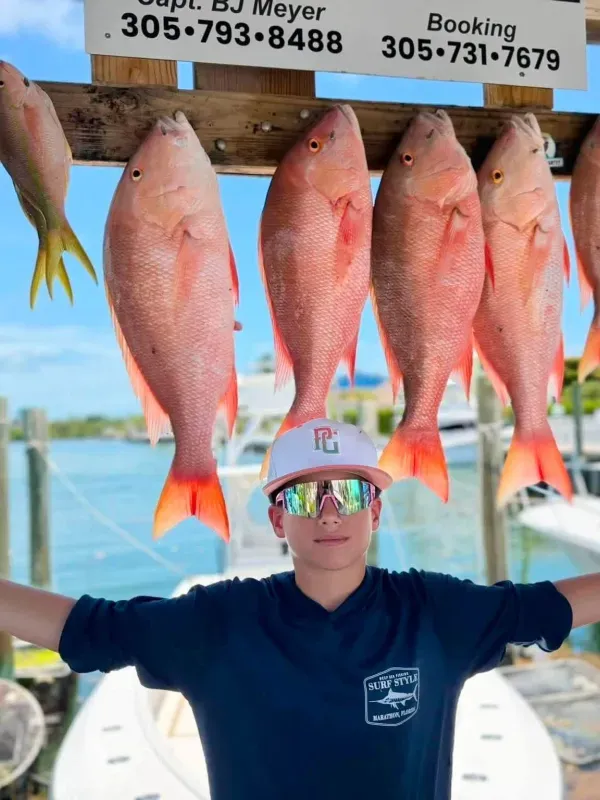 Mutton, yellowtail, grouper
