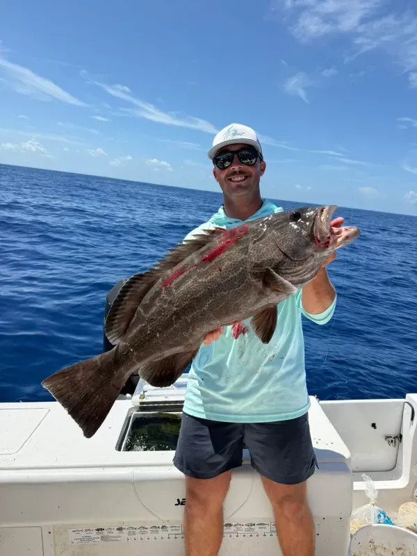 Grouper