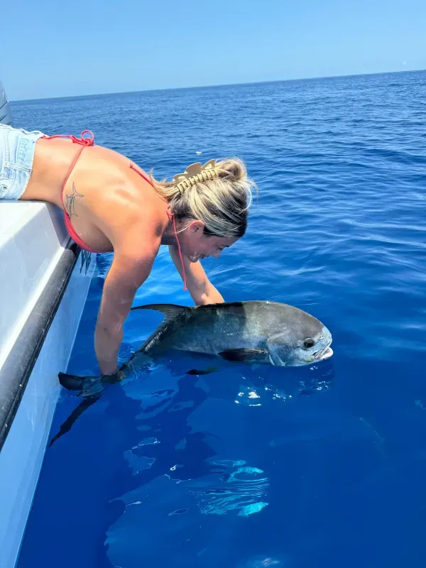Inshore reef wreck 06